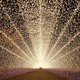 Illustration for article titled Japanese Christmas Light Displays Are Simultaneously Absurd and Calming